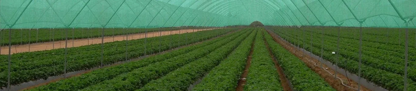 agriculture net in Hyderabad 