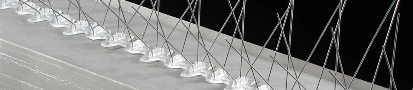 Bird Spikes Safety Nets In Hyderabad
