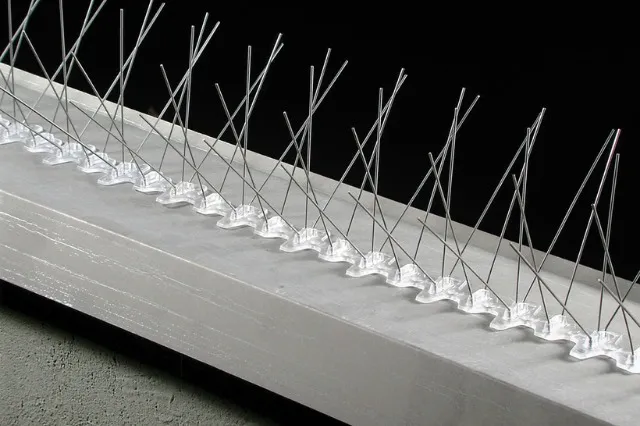 Bird Spikes 