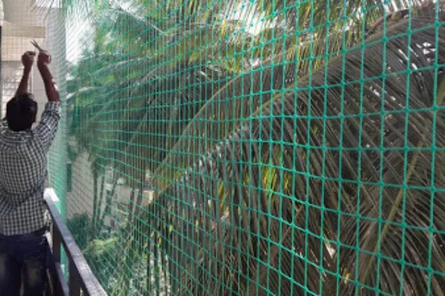 peigon net installation